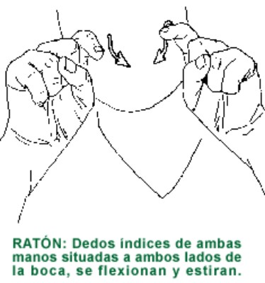 RATON.gif
