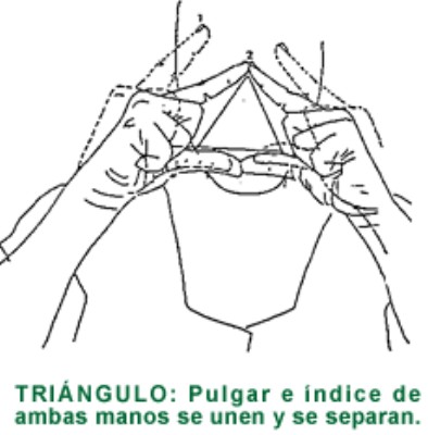 TRIANGULO.gif