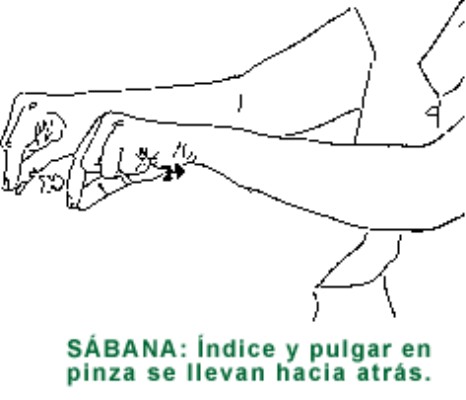 SABANA.gif