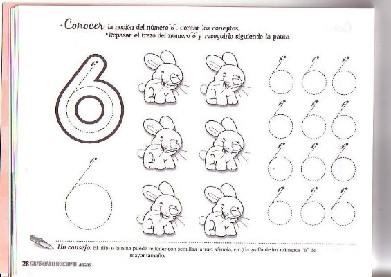 GRAFO 4 (23).JPG