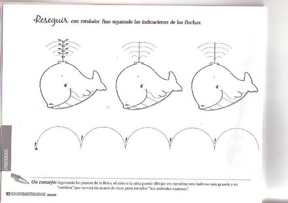 GRAFO 4 (7).JPG