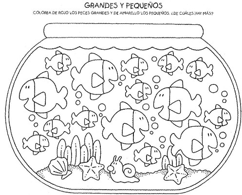 Explorar0017.jpg